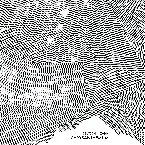 Pochette Chrysanthemum