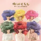 Pochette いいくらし