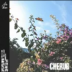 Pochette Cherub