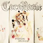Pochette Pushing Daisies