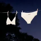 Pochette Blame Jocelyn