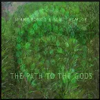 Pochette The Path to the Gods