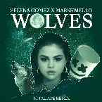 Pochette Wolves (Total Ape remix)