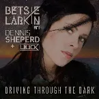 Pochette Driving Through the Dark
