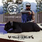 Pochette Pollo y Conejo