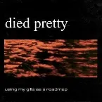 Pochette Using My Gills as a Roadmap
