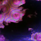 Pochette La couleur du son