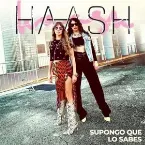 Pochette Supongo que lo sabes