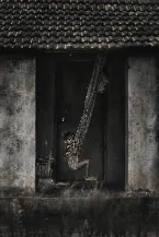 Pochette Poverty, Similarly to Opulence, Is Not Measured by the Scarcity or Superfluity of Material Goods or Instrumental Wealth, but by the Nobility of One's Spirit or Lack Thereof