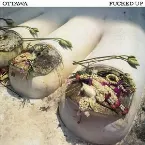 Pochette Ottawa