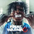 Pochette Final Warning
