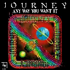 Pochette Any Way You Want It