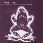Pochette The Wonderful and Frightening World of Black Lung