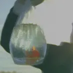 Pochette Inefficient Love