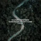 Pochette Something, Everything Remixed