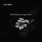 Pochette 2022 Remixes in August: Part A