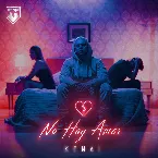 Pochette No hay amor