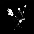 Pochette Que Se Foda o Vagos Open Air - Isto é Black Metal!