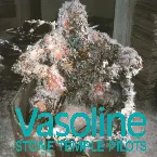 Pochette Vasoline