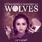 Pochette Wolves (Sneek remix)