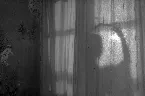Pochette The Life We Have Is Hidden in the Lies Between the Covers; Articulate Hymns to Not Be Born Again as a Homo Sapiens