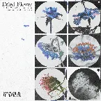 Pochette dried flower