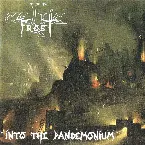 Pochette Into the Pandemonium