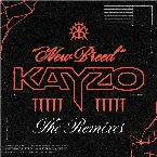 Pochette CYBER DETHHH (SampliFire Remix)