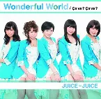 Pochette Wonderful World / Ça va ? Ça va ?
