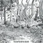 Pochette Winterstones