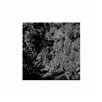 Pochette Fossa Magna