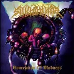 Pochette Conception of Madness