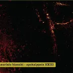 Pochette Apokalypsis XXIII