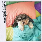 Pochette Sleepyhead 2025