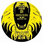 Pochette Psychodynamik 01: Ragga Jungle