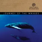 Pochette Journey of the Whales