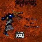 Pochette The Rare & The Remixes