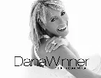 Pochette Dana Winner Platinum Collection