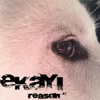 Pochette Reason 42
