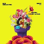 Pochette Open Your Mind