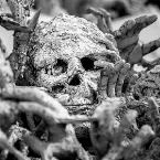Pochette A Dead Man's Dream Is a Troubled Place to Be, Especially in the Intermediate Beyond; When a Dream Is in Doubt, Take a Chance and Turn Your Heart Around