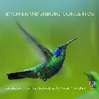 Pochette Brandenburg Concertos