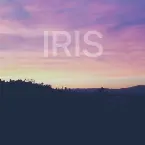 Pochette Iris