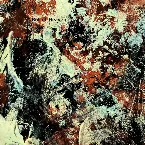 Pochette The Undifferentiated Waters