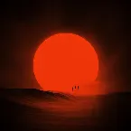 Pochette Fuck Your Sunshine