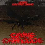 Pochette Drone Damaggge