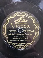 Pochette Dancing Tambourine / A Shady Tree