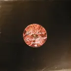 Pochette Glyph Remixes