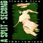 Pochette Flesh & Fire: 1991 Remixes