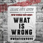 Pochette What Is Wrong